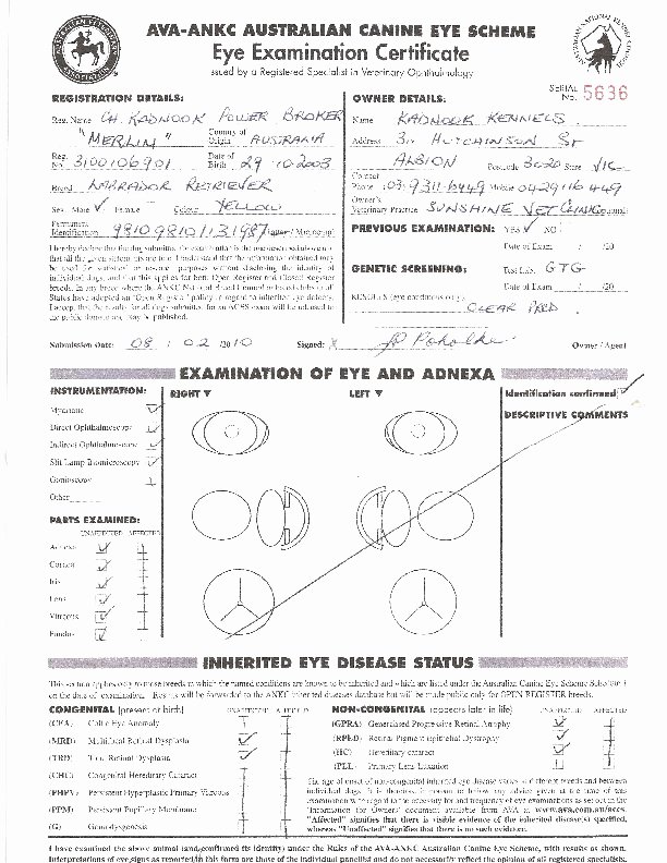 Eye Exam forms Template Unique Eye Exam form Template Luxury Loop Optometry Dr May Szeto