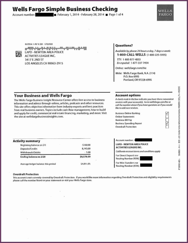 Fake Bank Statement Template Best Of Fake Bank Statements Templates Download