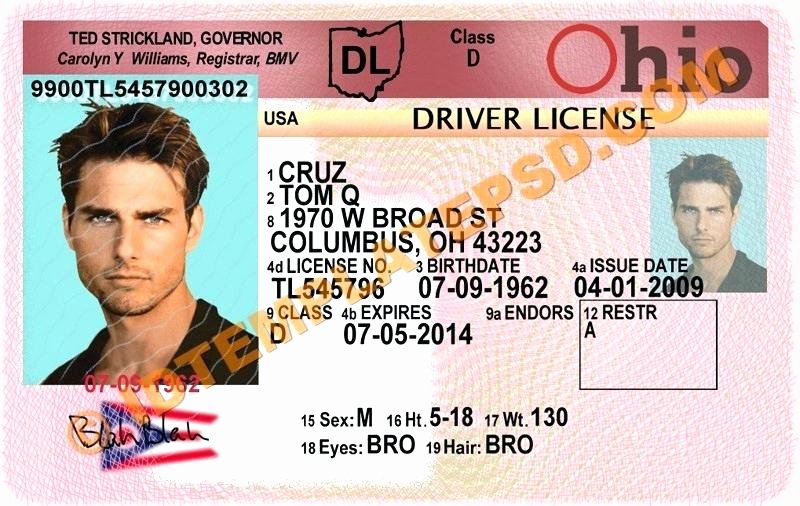 free drivers license template driving licence fake philippines