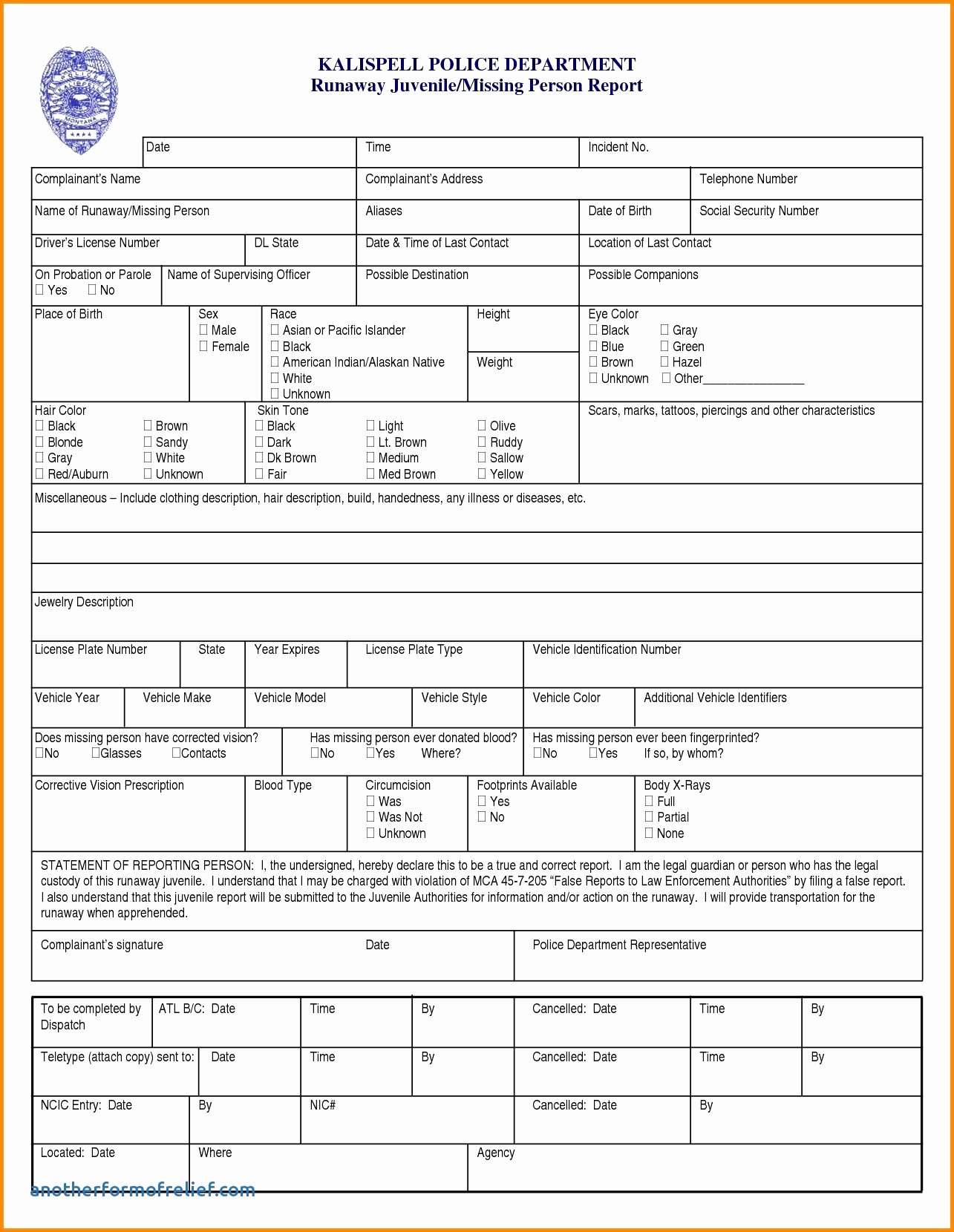 Fake Police Report Template Luxury 8 9 Car Accident Police Report Sample