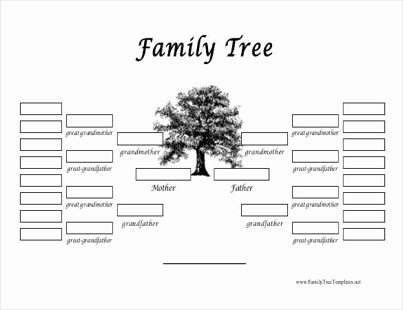 Family History Book Template Unique 37 Family Tree Templates Pdf Doc Excel Psd