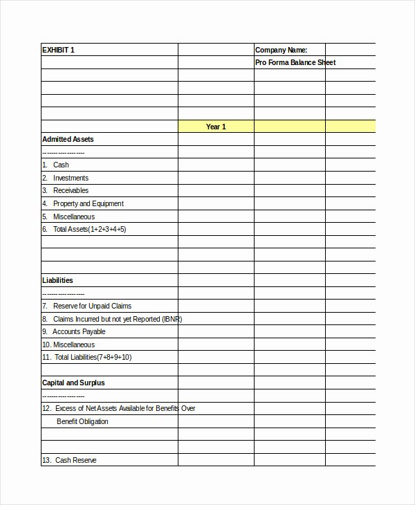 Financial Pro forma Template Unique Pro forma Excel Template 10 Free Excel Documents