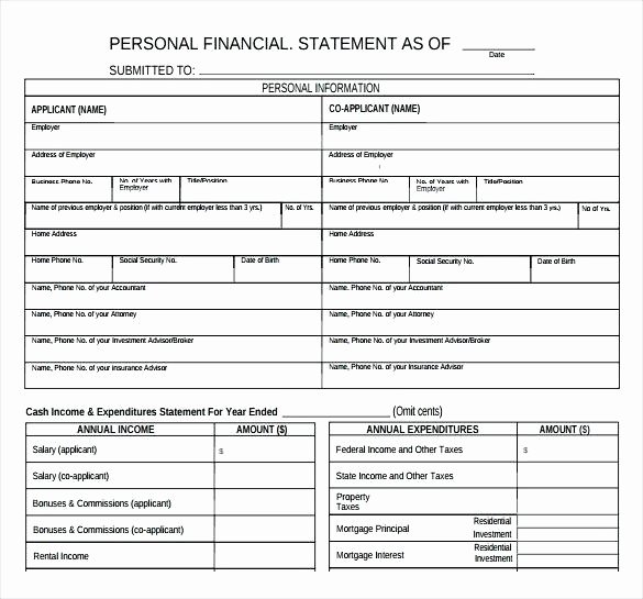 Financial Statement Template Word New Individual Financial Statement Template Personal Financial