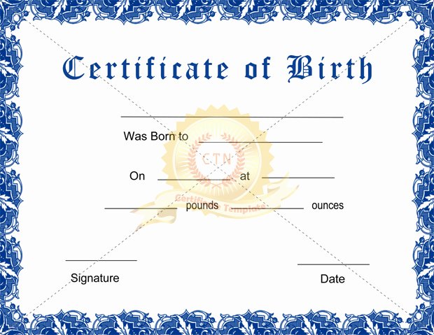 Free Birth Certificate Template Awesome Birth Certificate Template Pdf