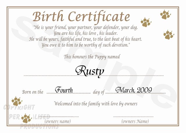 Free Birth Certificate Template Best Of 12 Best Of Blank Dog Birth Certificate Paper
