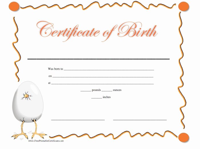 Free Birth Certificate Template Best Of 15 Birth Certificate Templates Word &amp; Pdf Template Lab