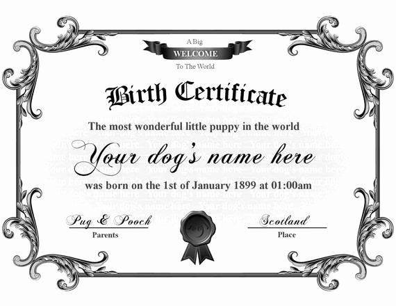 Free Birth Certificate Template Luxury Etsy Your Place to and Sell All Things Handmade