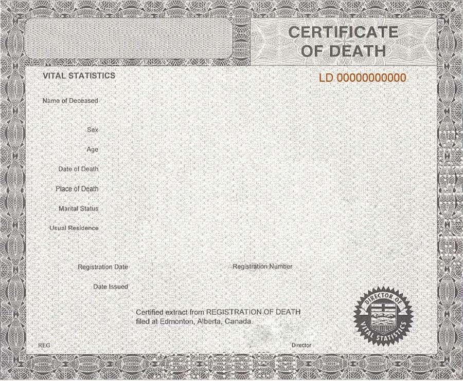 Free Death Certificate Template Inspirational 37 Blank Death Certificate Templates [ Free