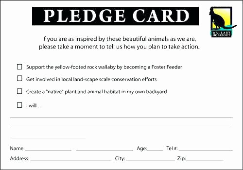 Free Pledge Card Template Luxury Donation Pledge Card Template 4 A Guide to Templates for