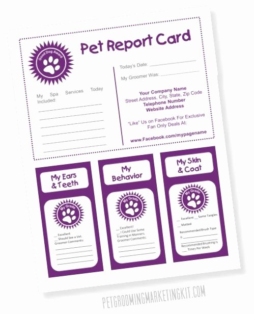 Free Report Card Template Inspirational Pet Report Card Templates for Dog Groomers Dog Grooming