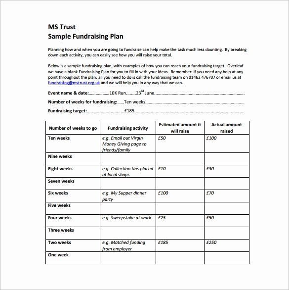 Fundraising Plan Template Excel Lovely Fundraising Plan Template – 7 Free Word Pdf Documents