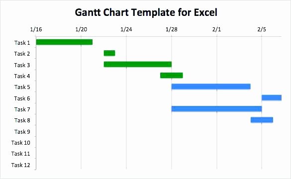 Gantt Chart Template Word Fresh organizational Chart Y Template Microsoft Word 2007