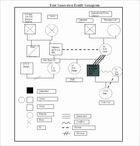 Genogram Template for Mac Luxury top Unique Graph Example with Key Free Printable Template