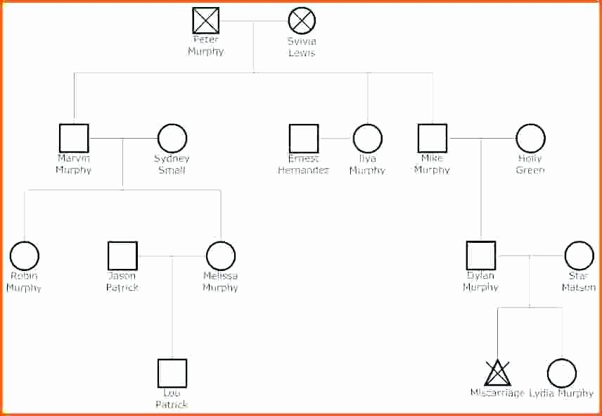 Genogram Template for Macs Awesome Jmjrlawoffice
