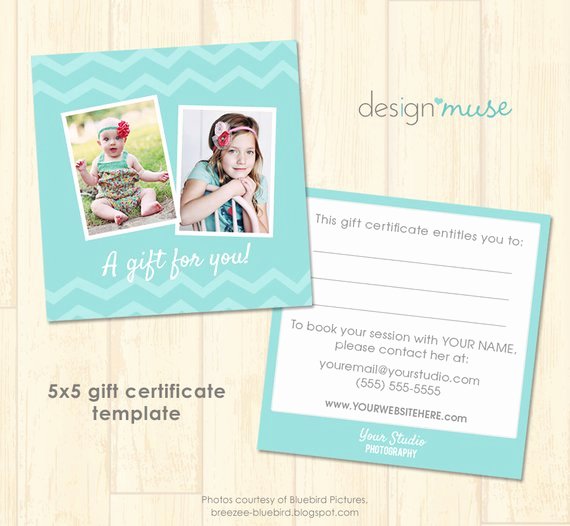 Gift Card Template Psd Inspirational Free Graphy Gift Certificate Template Psd