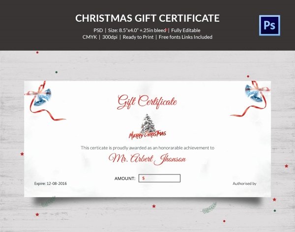 Gift Certificate Template Psd Inspirational Christmas Gift Certificate Templates 21 Psd format
