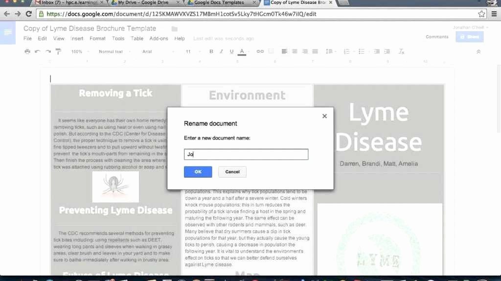 Google Docs Newsletter Template Beautiful Google Docs Brochure Template Lyme Disease Brochure