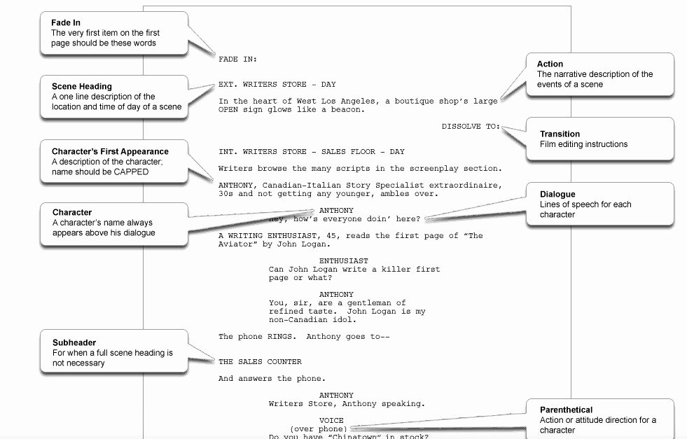 Google Docs Screenplay Template Stcharleschill Template