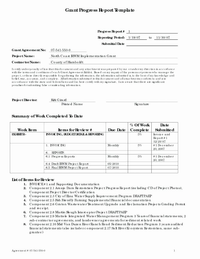 Grant Progress Report Template Elegant Final Grant Report Template Download now Submitting