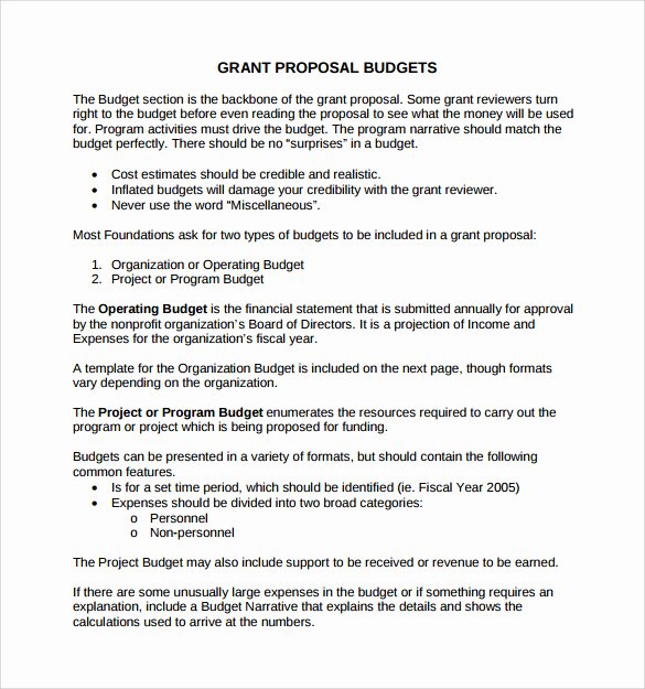 Grant Proposal Template Word Beautiful 9 Sample Grant Proposals