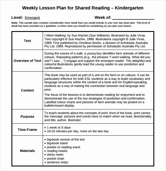 Guided Reading Template Pdf Best Of Sample Guided Reading Lesson Plan 8 Documents In Pdf