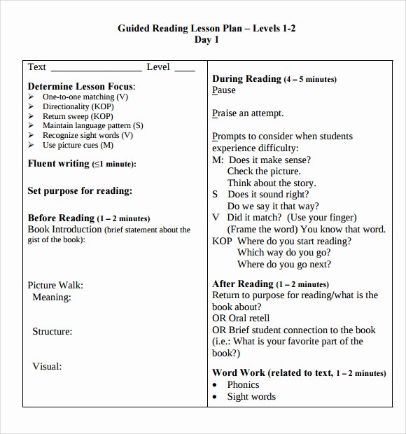 Guided Reading Template Pdf Inspirational Sample Guided Reading Lesson Plan 8 Documents In Pdf