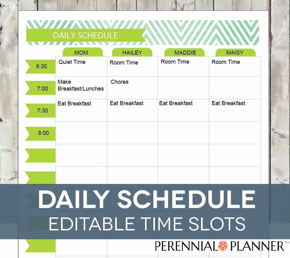 Homeschool Daily Schedule Template Luxury Daily Schedule Hourly Printable Editable Planner for Moms