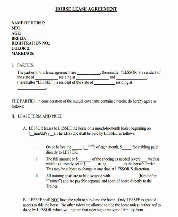 Horse Lease Agreement Template Inspirational 39 Lease Agreement forms