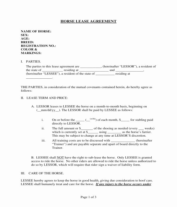 Horse Lease Agreement Template New Horse Lease Agreement