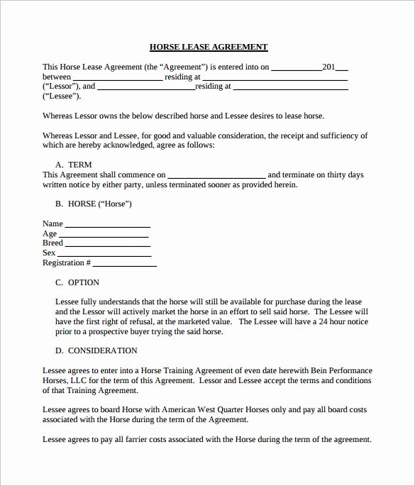 Horse Lease Agreements Template New 8 Sample Horse Lease Agreements