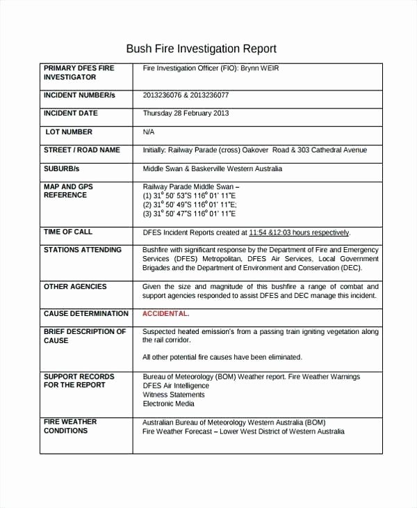 Hr Investigation Report Template Beautiful Witness Statement Template form In You Can Download A