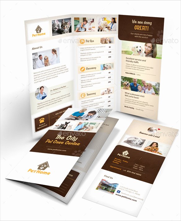 Indesign Trifold Brochure Template Lovely 12 Daycare Brochure Templates Free Download