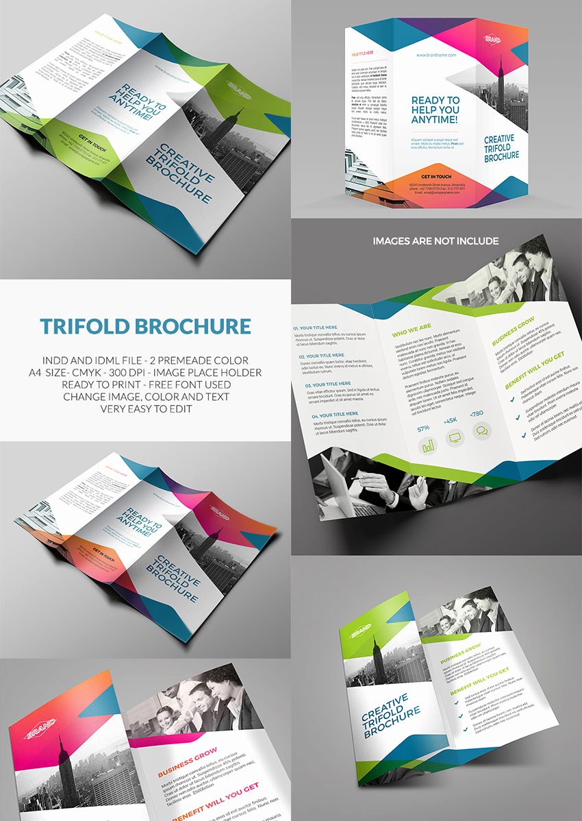 Indesign Trifold Brochure Template Unique 20 Best Indesign Brochure Templates for Creative