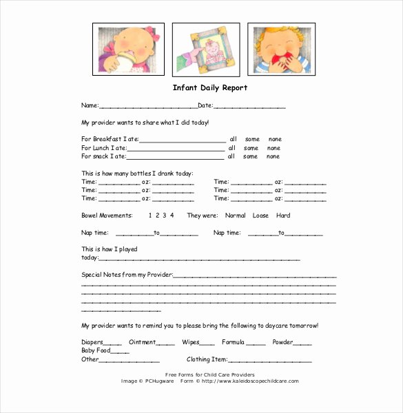 Infant Daily Report Template Inspirational 24 Sample Daily Report Templates Pdf Ms Word