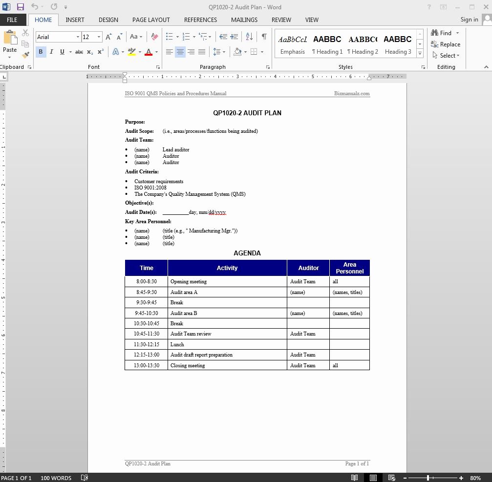Internal Audit Planning Template New Audit Plan iso Template