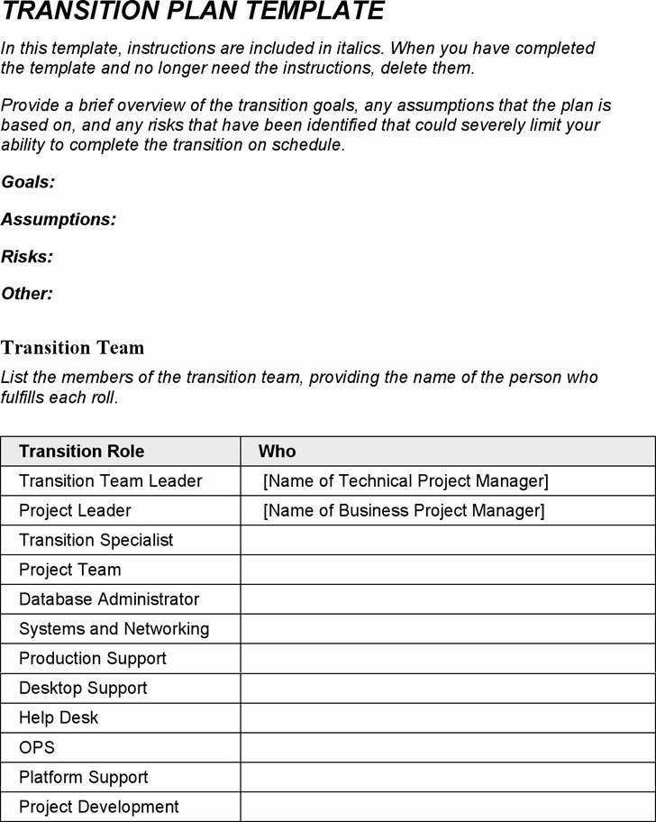 Job Transition Plan Template Lovely 6 Transition Plan Template Free Download