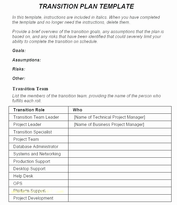 Knowledge Transition Plan Template Lovely Transition Plan Template Role Transition Plan Template