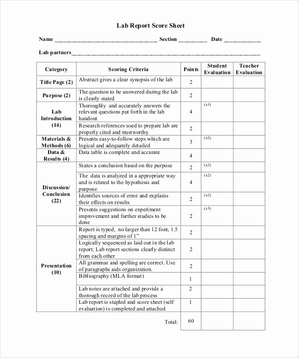 Lab Report Template Word Awesome 28 Lab Report Templates Pdf Google Docs Word Apple