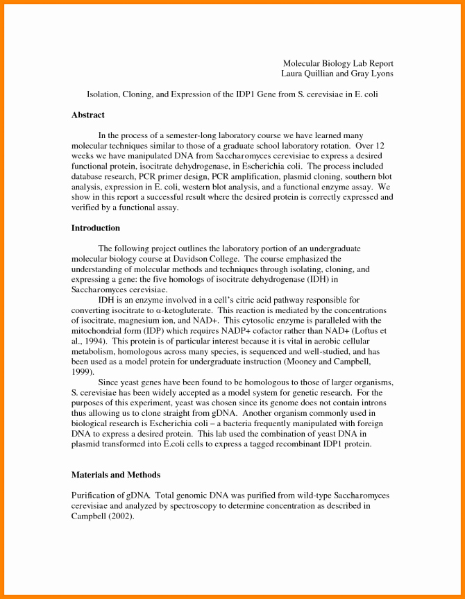 Lab Report Template Word New Lab Report Template Middle School Unique Worksheet Free