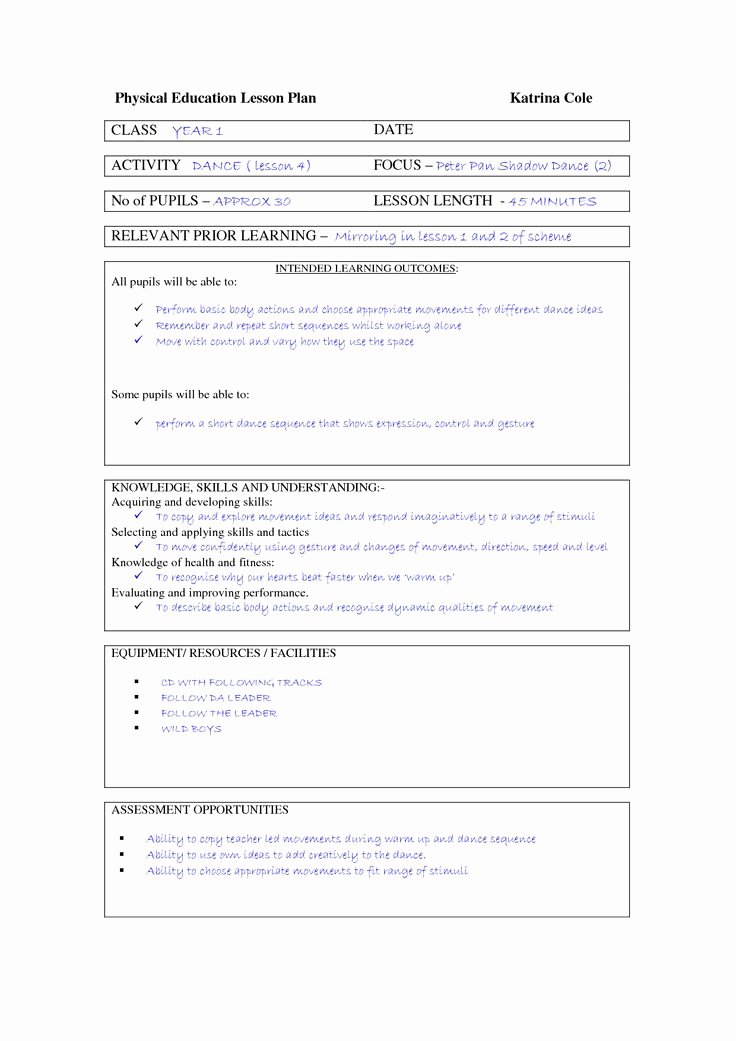 Lesson Plan Template Doc Inspirational Best 25 Lesson Plan Template Doc Ideas Only On Pinterest