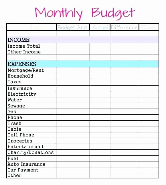 Line Item Budget Template Lovely 11 Monthly Bud Sheet