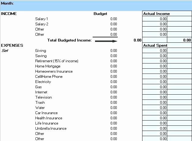 Line Item Budget Template Lovely Weekly Bud Excel A Planner Sample Line Item Bud
