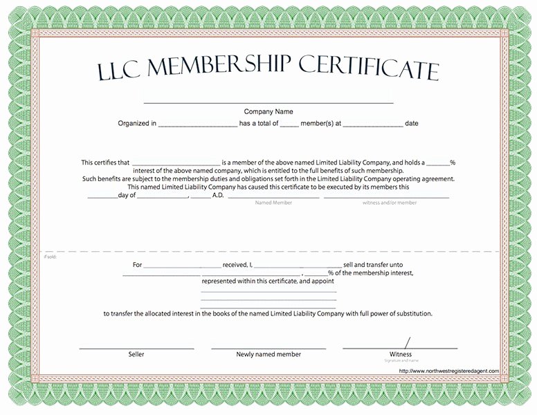 Llc Membership Certificate Template Elegant Llc Membership Certificate Template Llc Membership