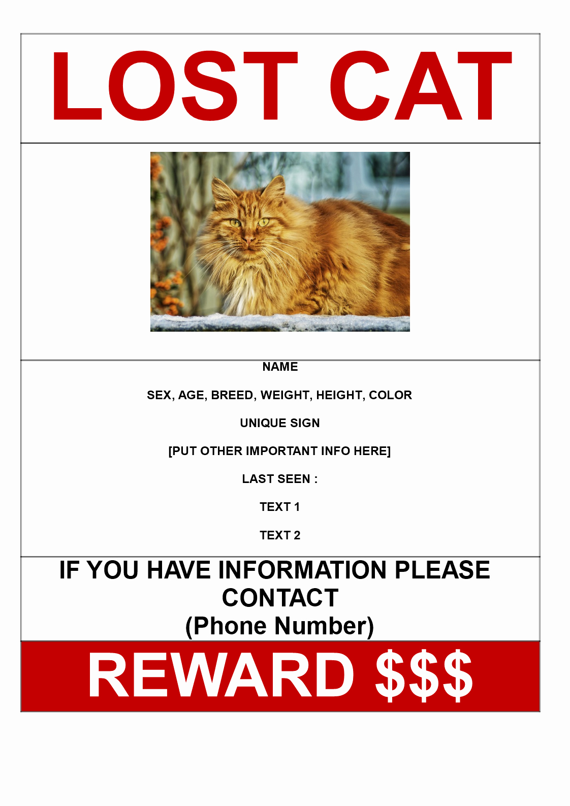 Lost Cat Flyer Template New Free Lost Cat with Reward Model A3 Template