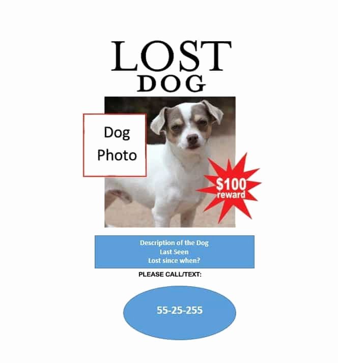 Lost Cat Poster Template Awesome 40 Lost Pet Flyers [missing Cat Dog Poster] Template