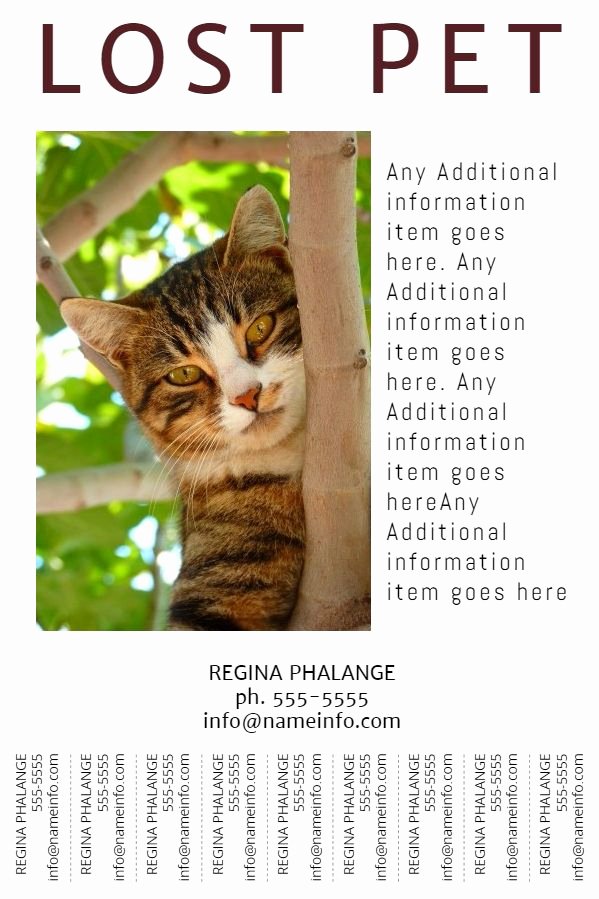 Lost Cat Poster Template Fresh Lost Pet Flyer with Tear Off Tabs Template
