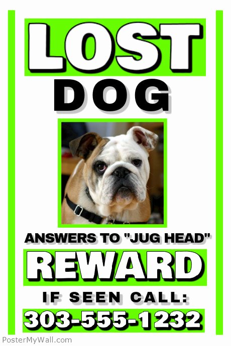 Lost Cat Poster Template Inspirational Lost Dog Template