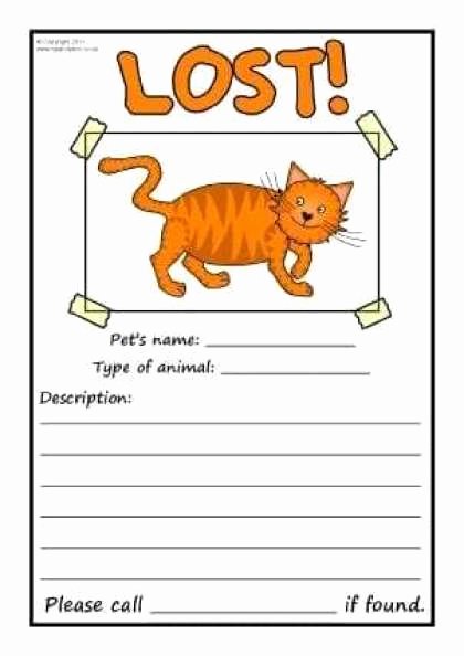 Lost Cat Posters Template Inspirational 21 Free Missing Cat Poster Template Word Excel formats