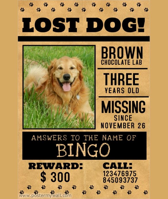 Lost Dog Flyer Template Elegant Missing Dog Template Invitation Template