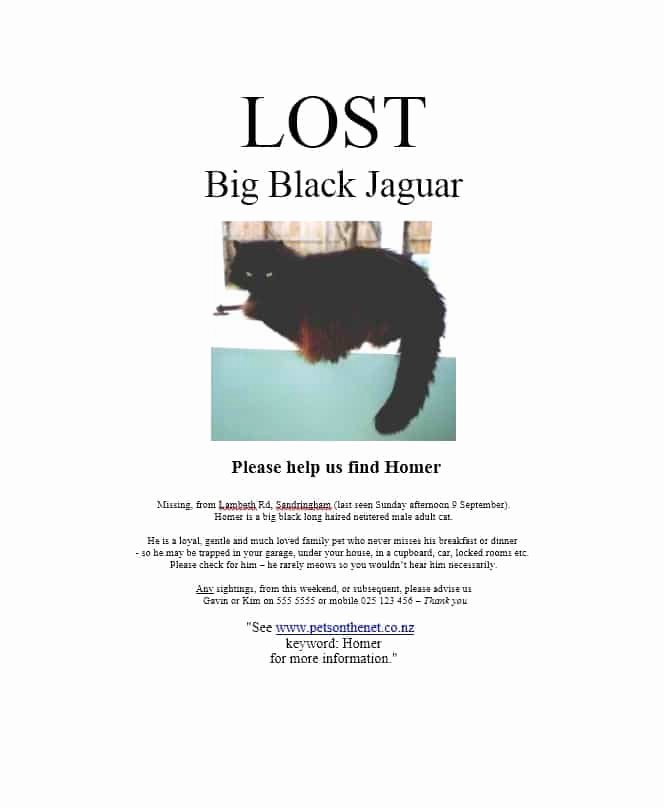Lost Dog Flyers Template Unique 40 Lost Pet Flyers [missing Cat Dog Poster] Template